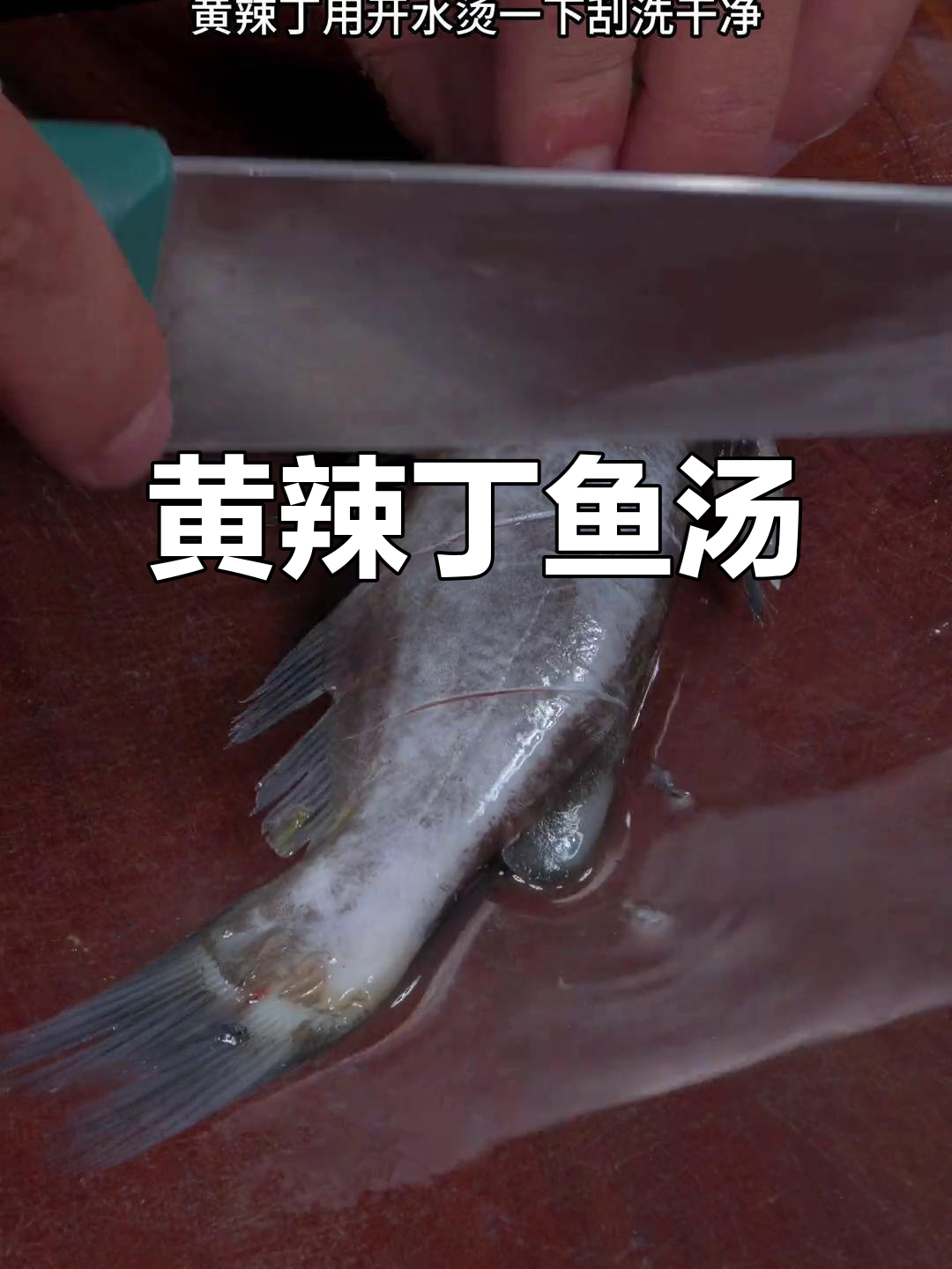 黄辣丁鱼汤,鲜香营养又美味,裙带菜加持更补钙