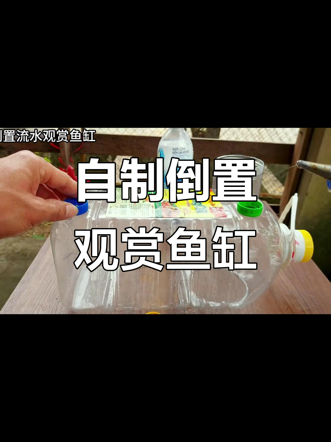手工倒置鱼缸,创意DIY桌面小景观