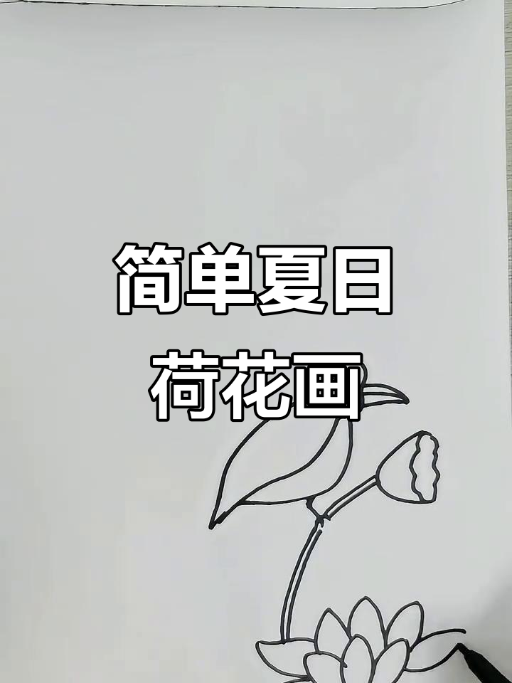 夏季荷花与荷叶的简笔画教程,轻松画出美丽画面