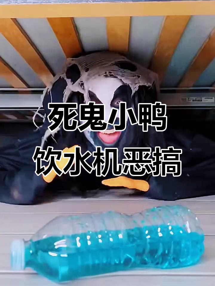 小鸭饮水机恶搞,搞笑配音笑翻全场