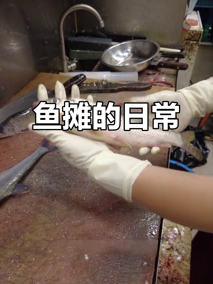 记录卖鱼的一天，两条激浪与神秘鱼的日常