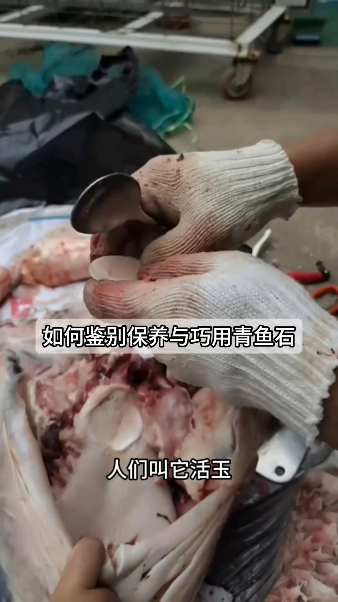 如何鉴别保养与巧用青鱼石