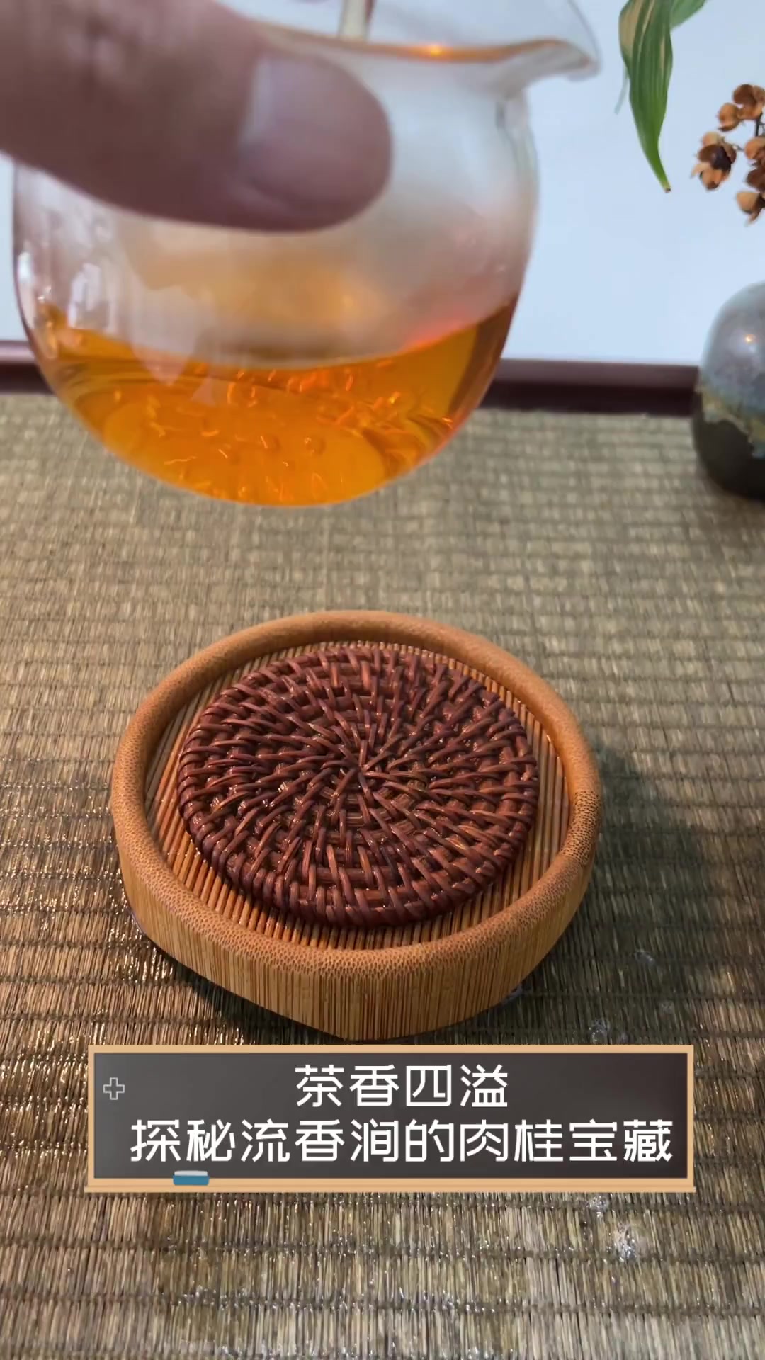茶香四溢,探秘流香涧的肉桂宝藏