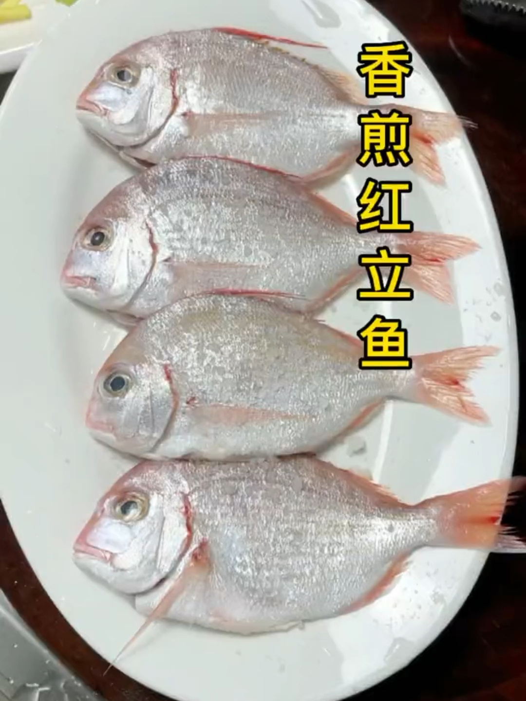百吃不厌的红立鱼