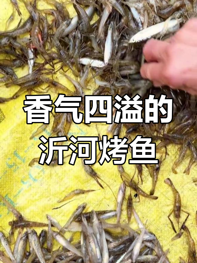 沂河鱼烤制,柴火慢炖,香辣十足,口感鲜美