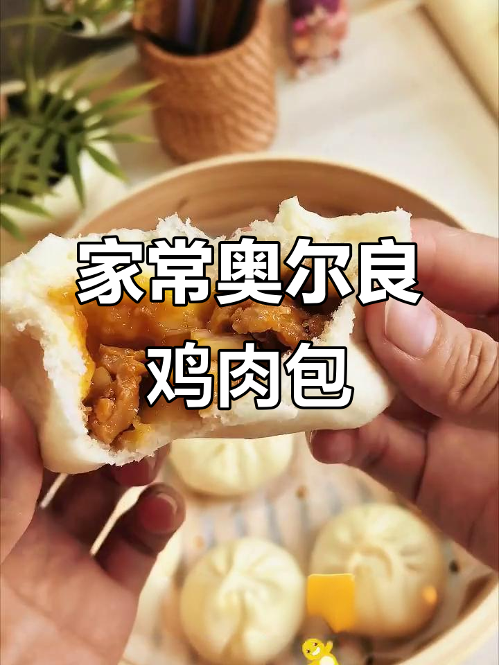 奥尔良鸡肉包子，简单又美味！
