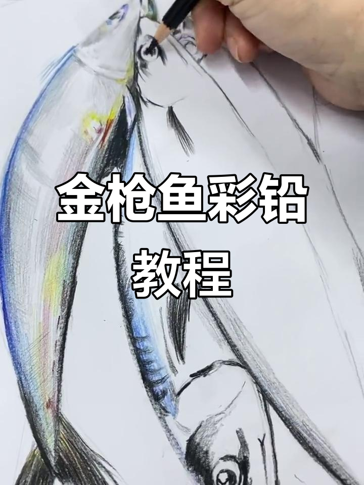 彩铅手绘金枪鱼，简单步骤教你画出栩栩如生的海洋生物