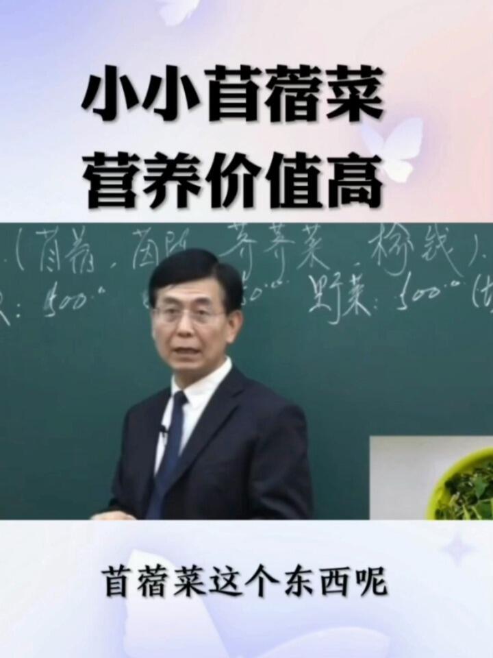 苜蓿菜营养价值高