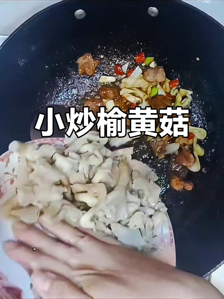 鲜辣小炒榆黄菇,家常下饭新风味