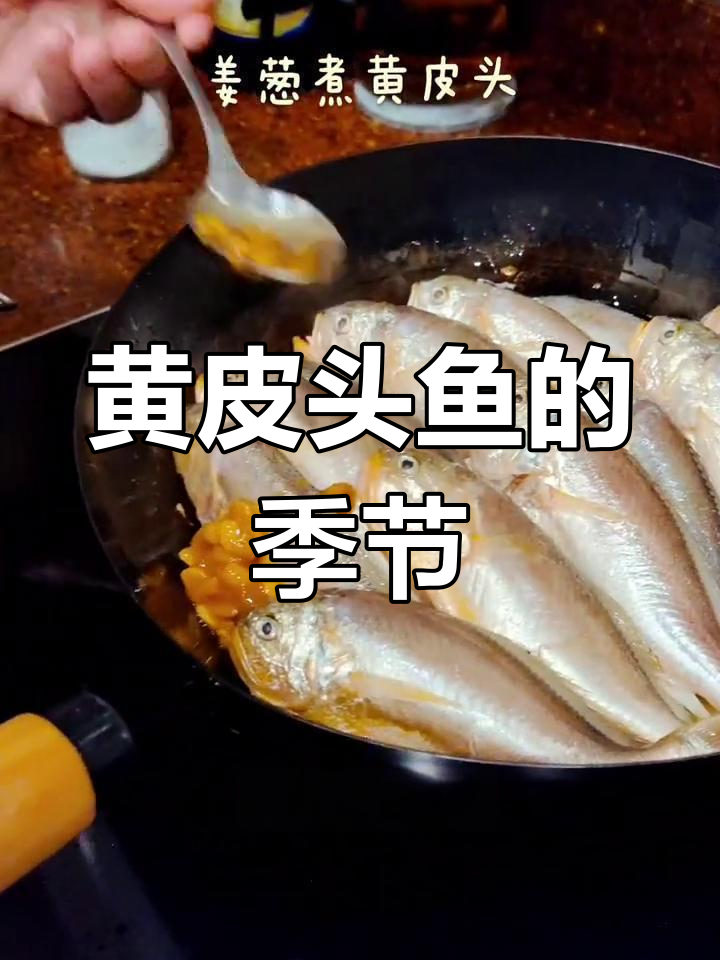 初夏黄皮头鱼,营养丰富,口感极佳