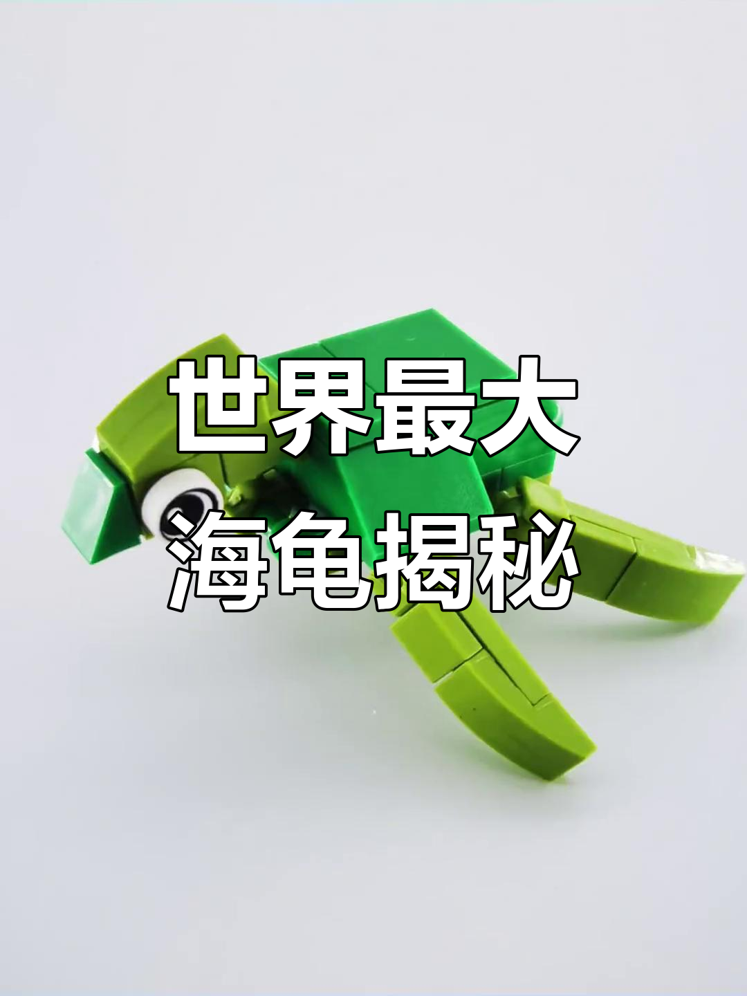 世界上最大的海龟,棱皮龟的惊人纪录