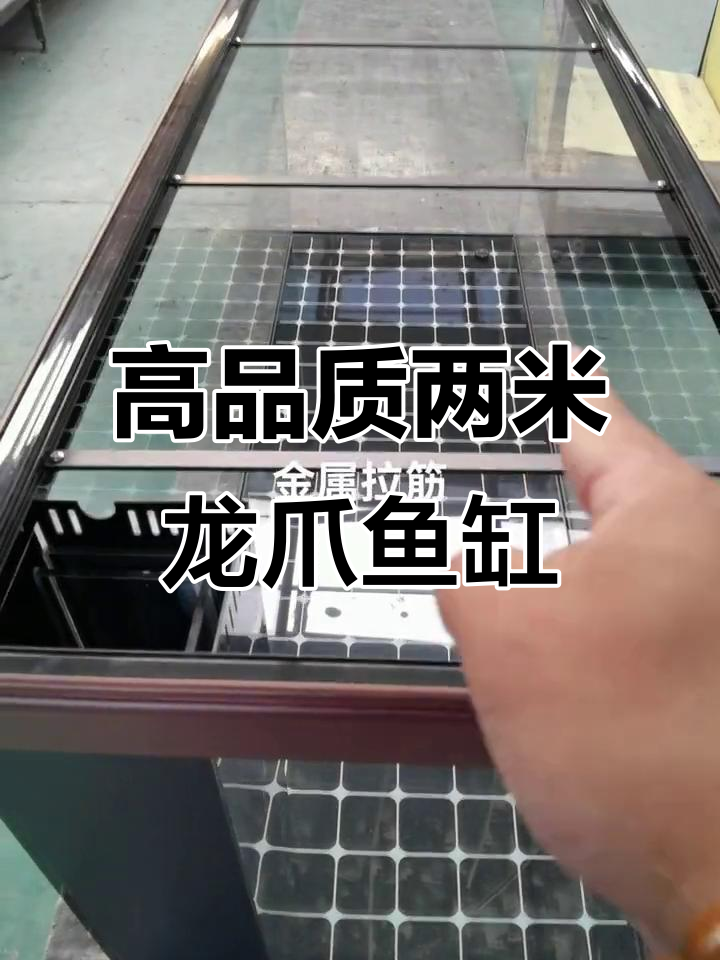 高端大气两米龙爪鱼缸,铝合金拉筋稳固耐用