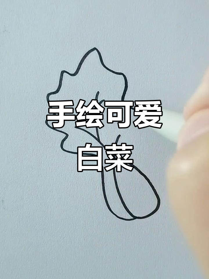 创意手绘白菜,简单又有趣