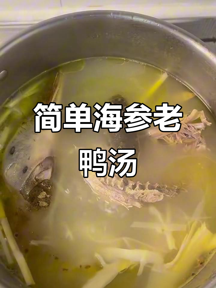 海参老鸭汤,家常做法大揭秘
