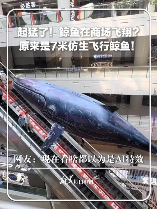起猛了!鲸鱼在商场飞翔?原来是7米仿生飞行鲸鱼!网友:现在看啥都以为是AI特效。新华每日电