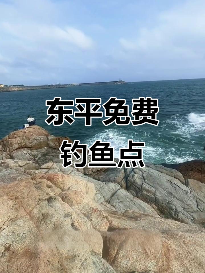 阳江东平免费钓点,腊鱼大柠檬轻松钓