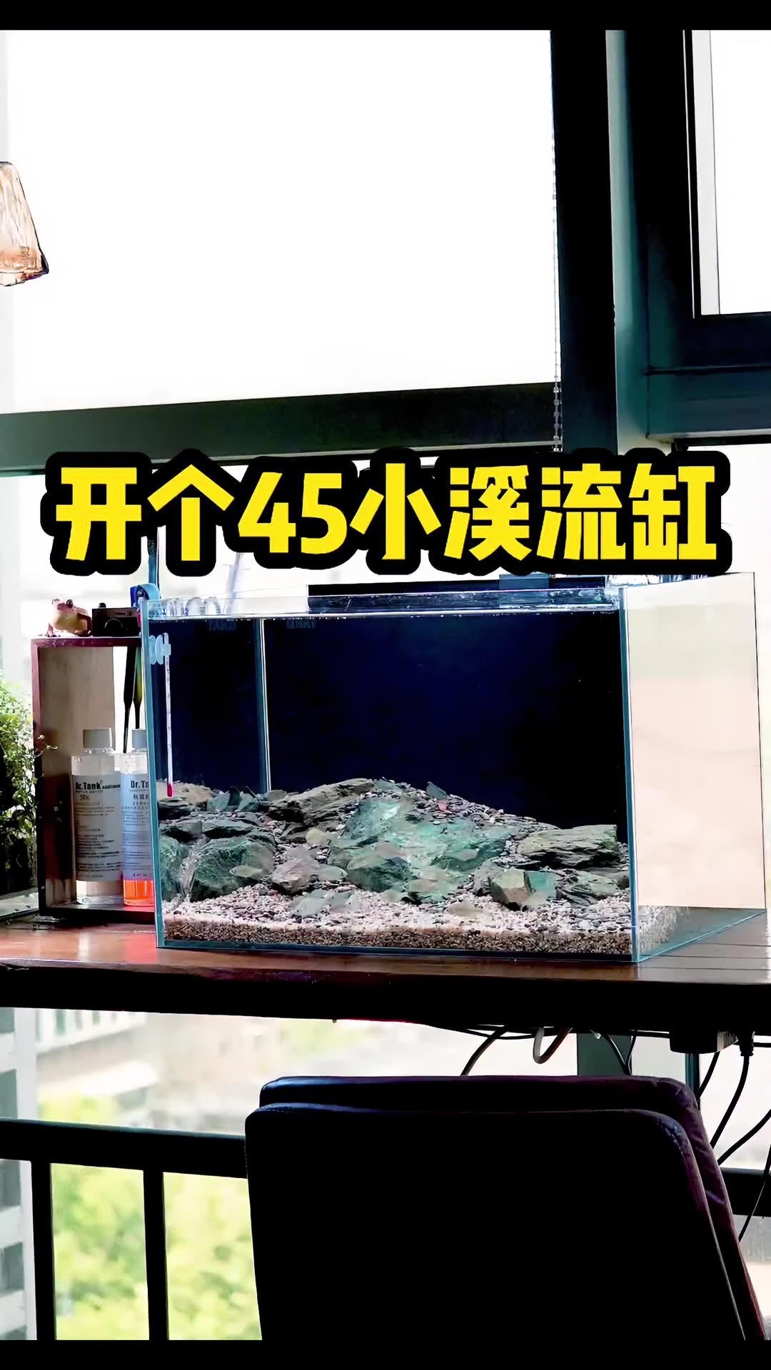 开一个简单又好看的小溪流缸!新手教程!快看看是不是你的style!谁说只有大缸才叫溪流缸的