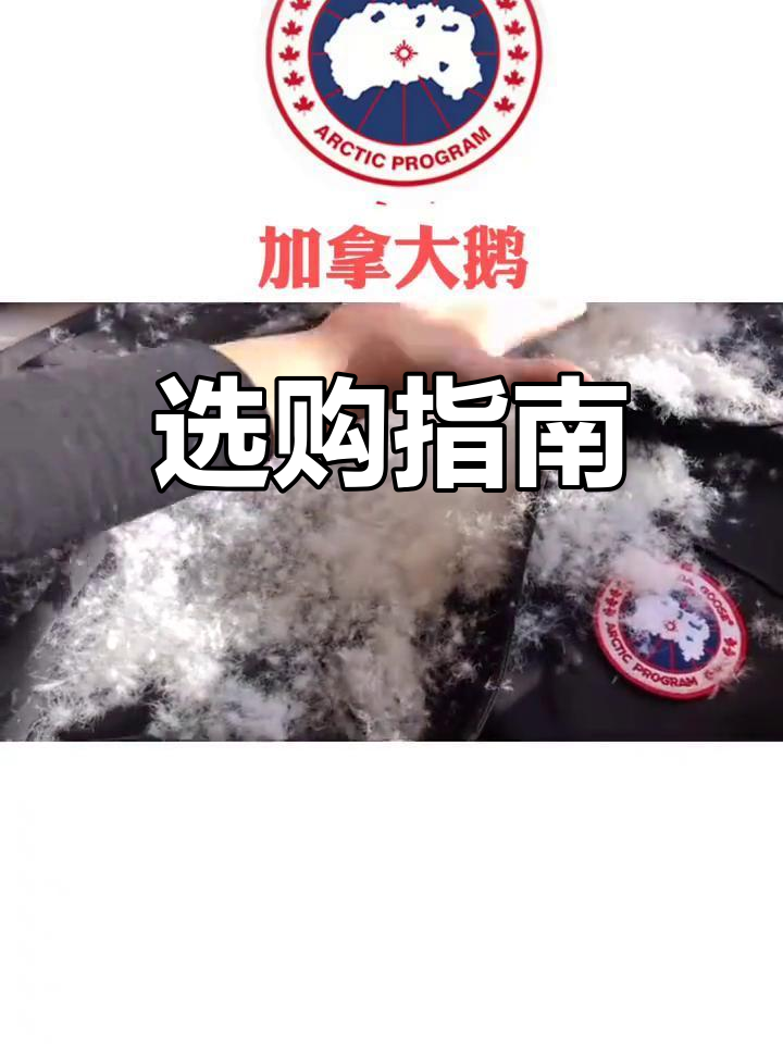 加拿大鹅热销,教你如何挑选最合适的款式