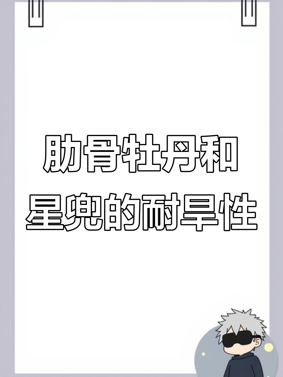 肋骨牡丹与星兜:哪种更耐旱,更适合养护?