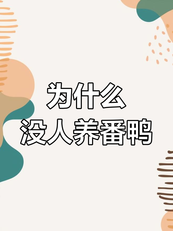 番鸭养殖为何在农村不普及?