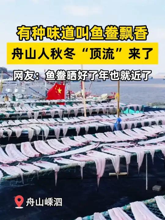 舟山人秋冬“顶流” 鱼鲞(xiǎng)晒起来啦 舟山 鱼鲞 来源:嵊泗发布、舟山市融媒体中