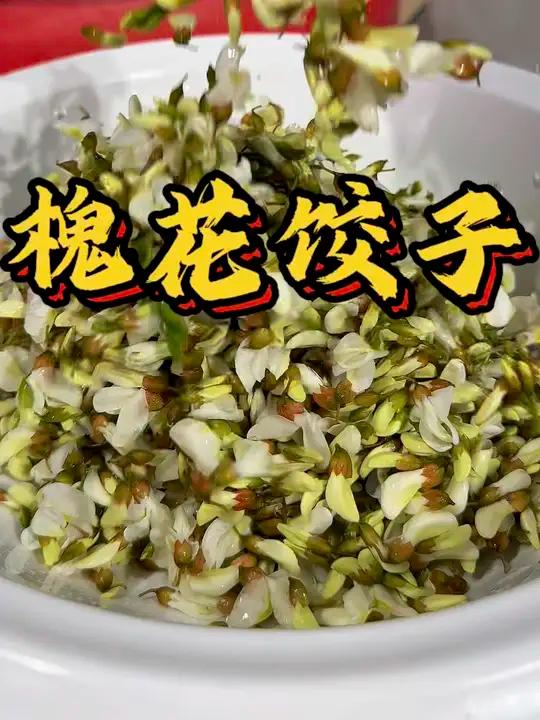 槐花开了，勇哥教你做槐花饺子