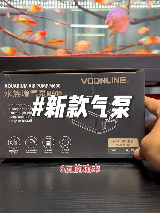 新款气泵 新款氧气泵气量太夸张了 鱼缸里的大自然 观赏鱼 养鱼养心 水族器材