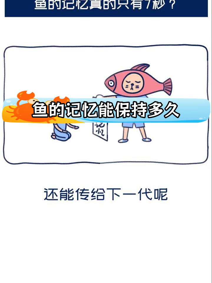 鱼的记忆不止7秒,科学家揭秘