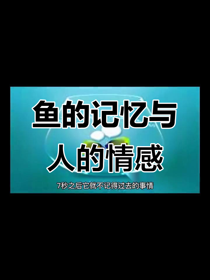 鱼的七秒记忆，人的永恒牵挂