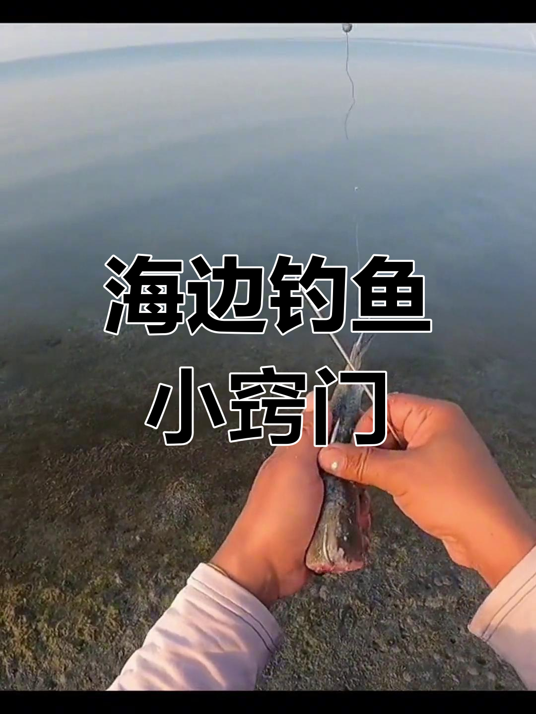 温州海边钓鱼技巧,轻松钓获大鱼