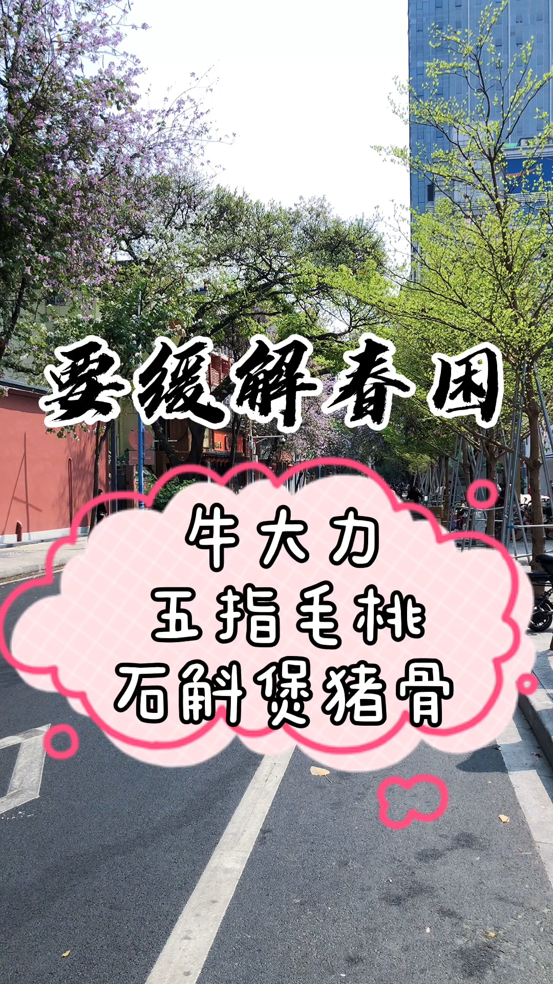 牛大力五指毛桃石斛煲猪骨