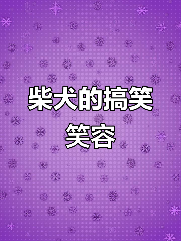 柴犬:表情包背后的微笑天使,忠诚又倔强