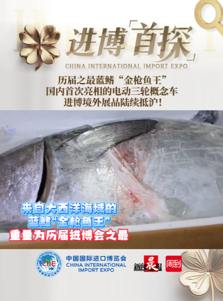 境外展品陆续抵沪,本届进博会蓝鳍金枪鱼重量为历届之最