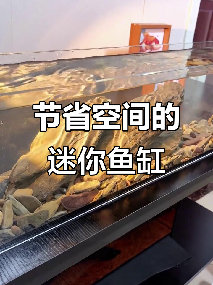 小巧鱼缸,空间利用最大化,打造玄关艺术品