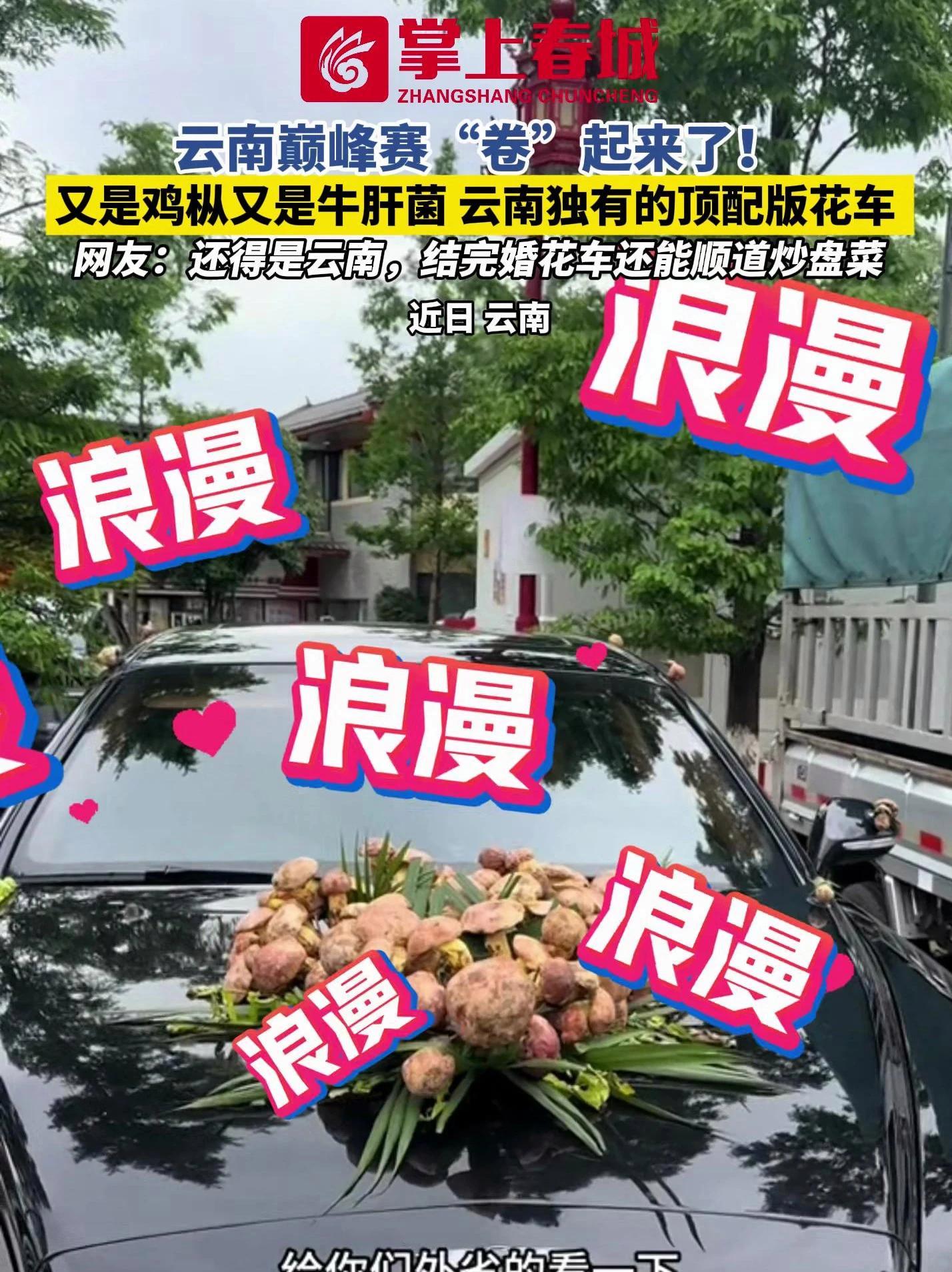 云南巅峰赛“卷”起来了!又是鸡枞又是牛肝菌,云南独有的“顶配版”花车,网友:还得是云南,结