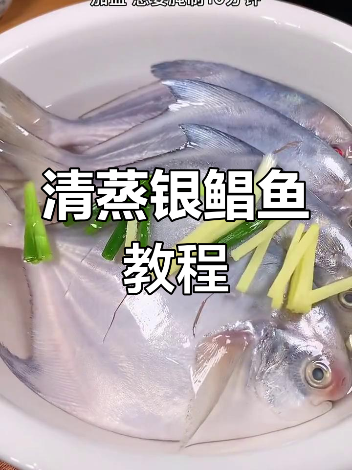 连云港新鲜银鲳鱼,清蒸做法大揭秘