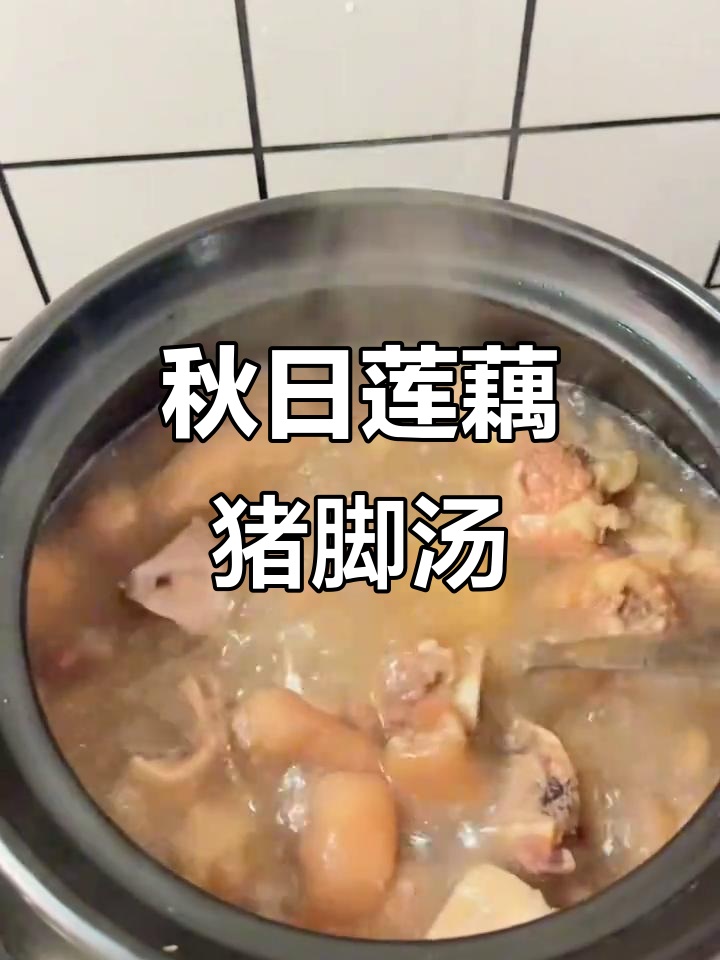 秋季滋补莲藕猪脚汤，花生搭配更美味