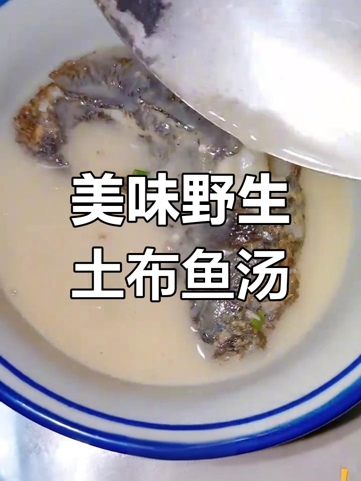 野生土布鱼汤,奶白鲜美,细嫩如豆腐