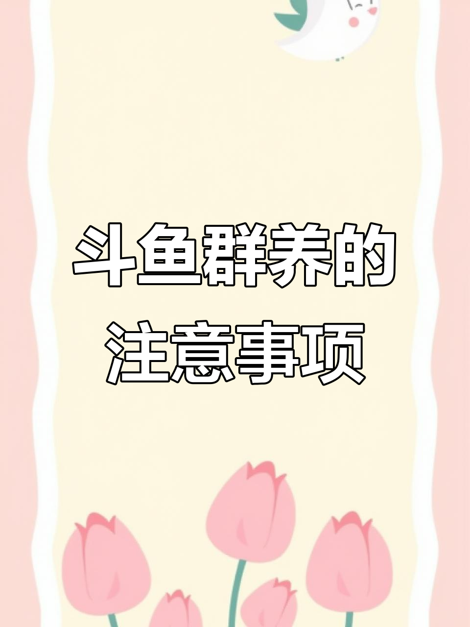 中国斗鱼群养技巧：如何避免争斗与受伤