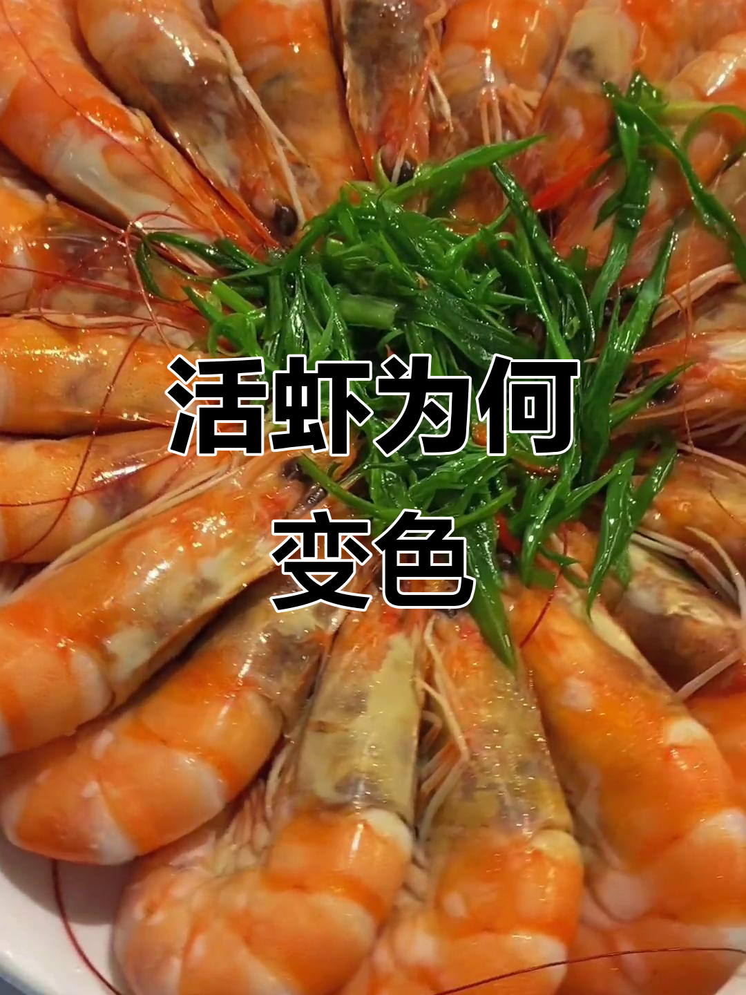 为什么活虾煮出来变黑?有懂的吗?