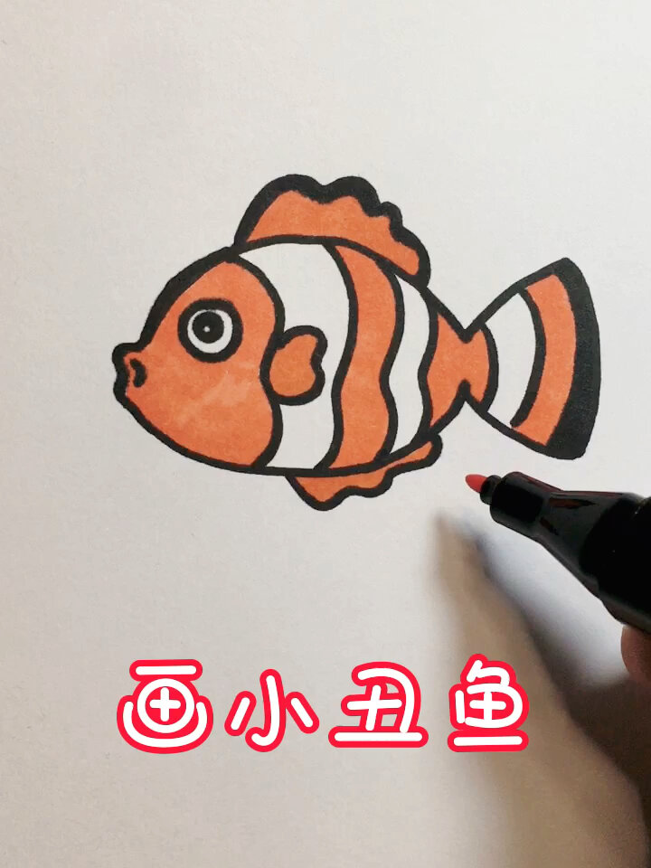 画小丑鱼