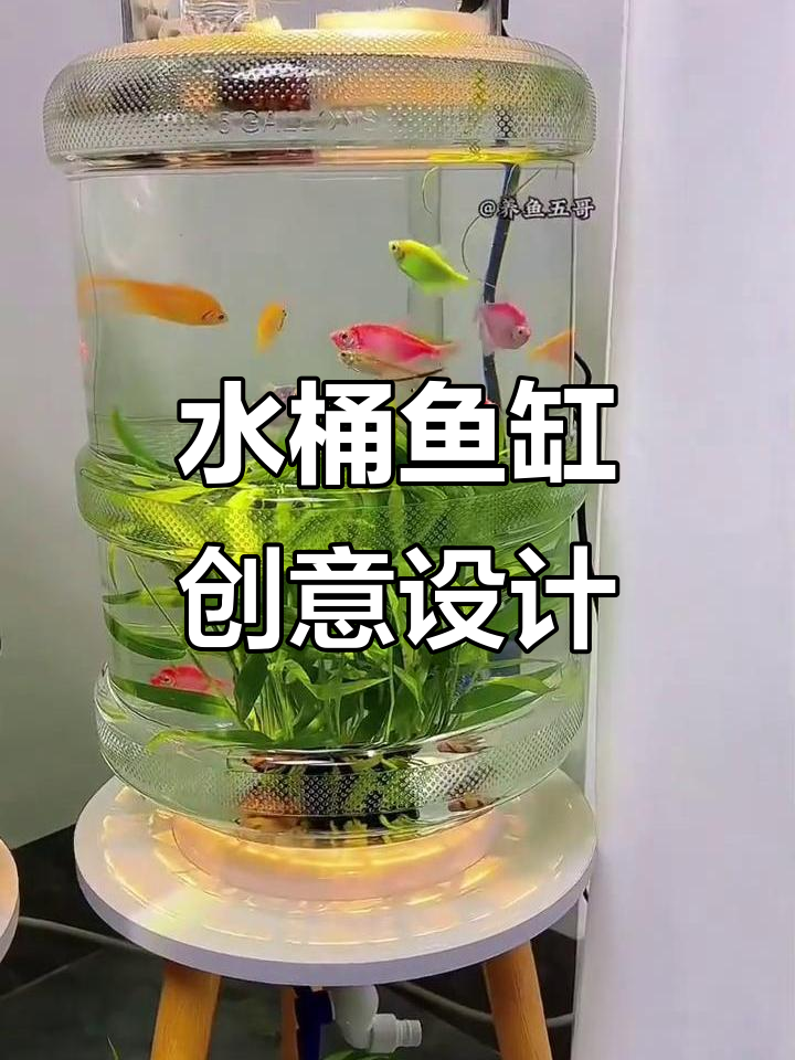 创意水桶鱼缸,镂空设计、过滤排污一体,阳台客厅皆宜