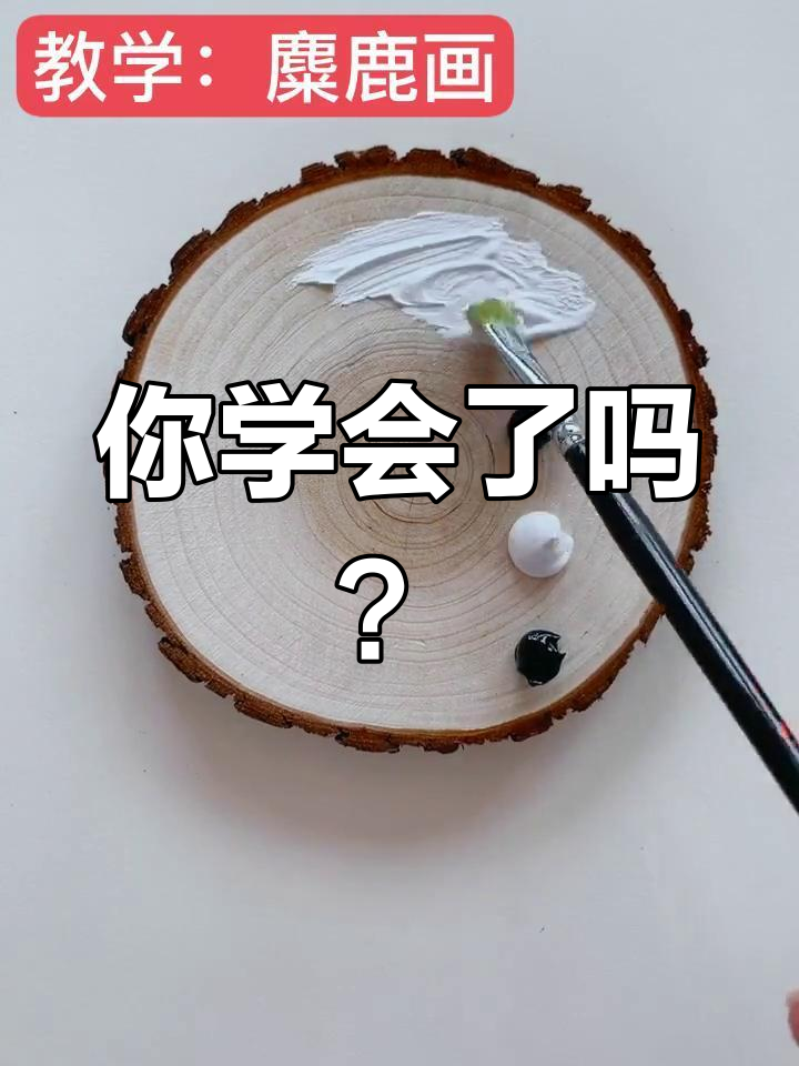 坚持与放弃的智慧,画出黑白世界的美丽
