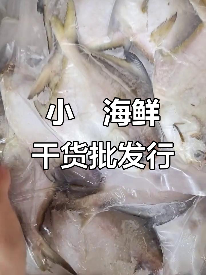 惠安小岞海鲜干货批发,新鲜鱿鱼品质保证