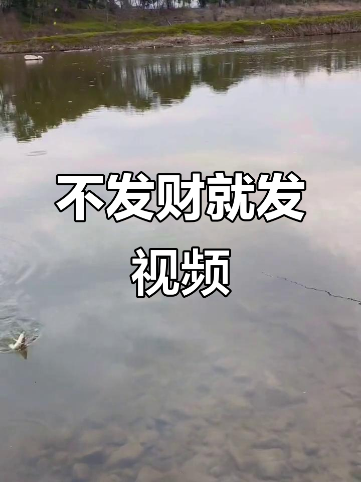 每天不发财就发视频,七星漂线组带你钓鱼致富