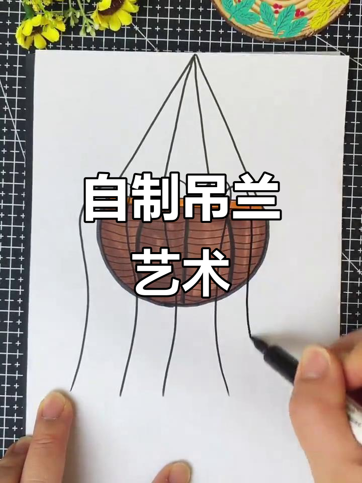 创意手工吊兰画,打造独特家居装饰