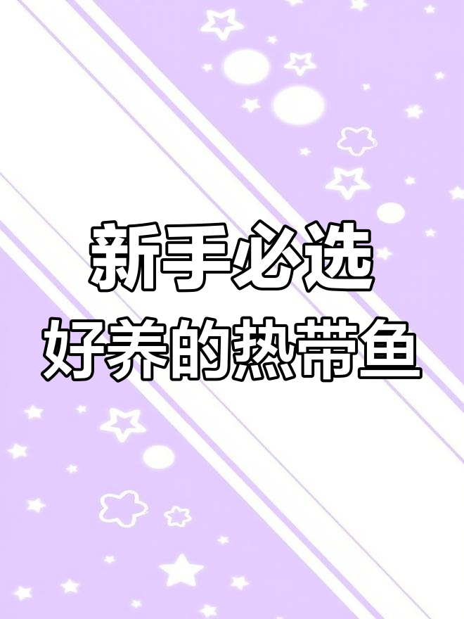 绿老虎天使鱼:皮实耐养,适合新手