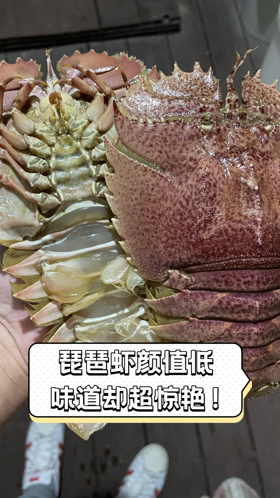 琵琶虾颜值低,味道却超惊艳!