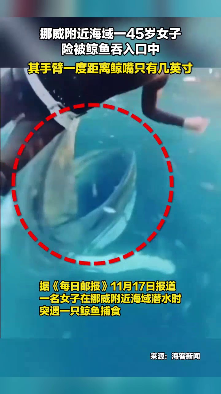 挪威附近海域一45岁女子险被鲸鱼吞入口中,其手臂一度距离鲸嘴只有几英寸