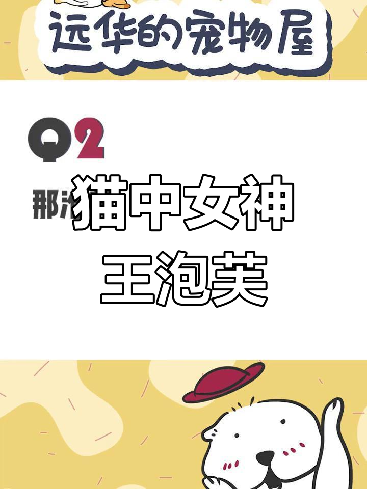 王泡芙:从精致小猫咪到异地恋,网红喵的爱情故事